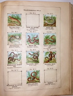 "Рельефный зоологический атлас. Часть третья. Пресмыкающиеся и рыбы.". Гагельберг. 1880 г.    Антикварная книга