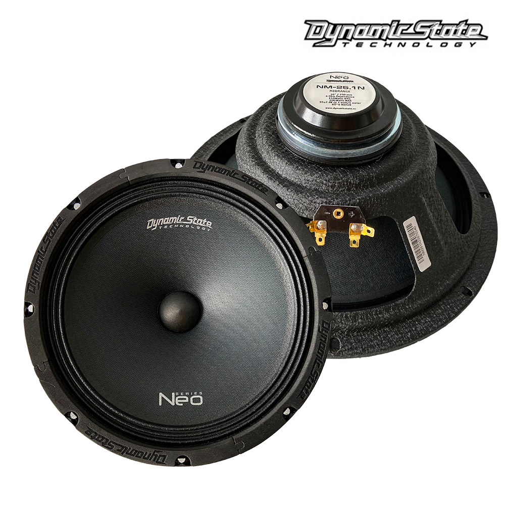 Dynamic State Neo NM-25.1N мидвуфер 10″ / 250 мм