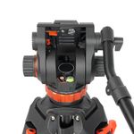 GreenBean HDV Elite 756