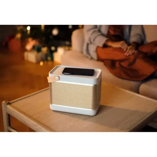 Портативная колонка Bang & Olufsen Beolit 20 Grey Mist