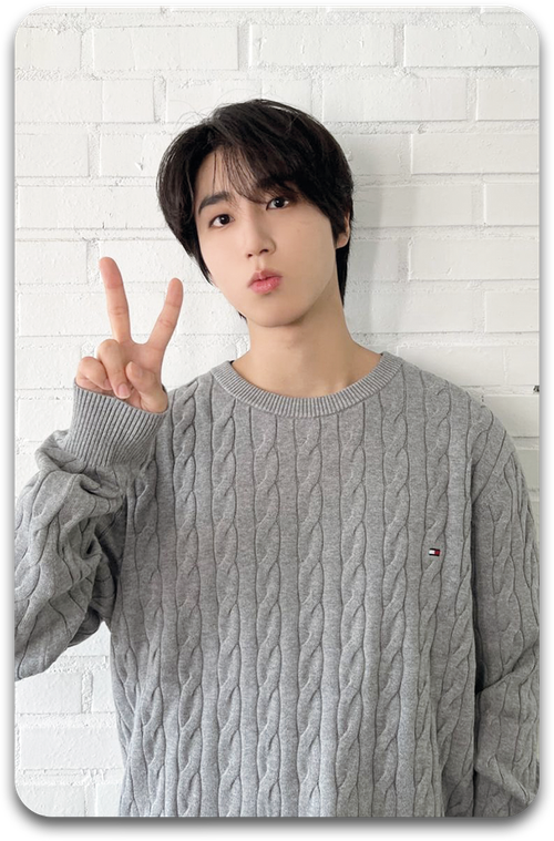 Карта / STRAY KIDS #1891