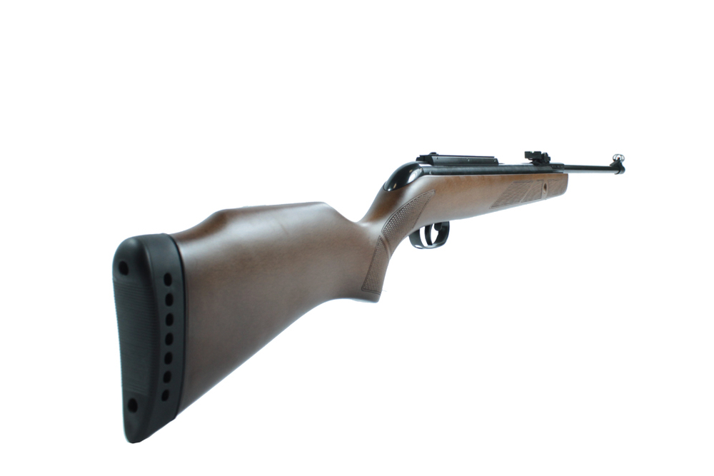 Винтовка пневматическая GAMO Hunter 440