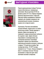 Петуния грандифлора Суперкаскад F1 Бургунди