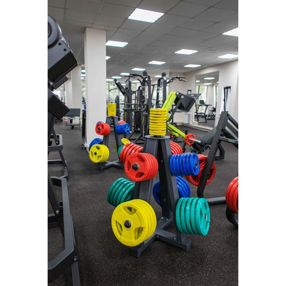 A1230 Стойка для дисков (до 900 кг) TANGEN