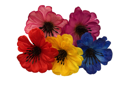 Фиалка с ресничкой