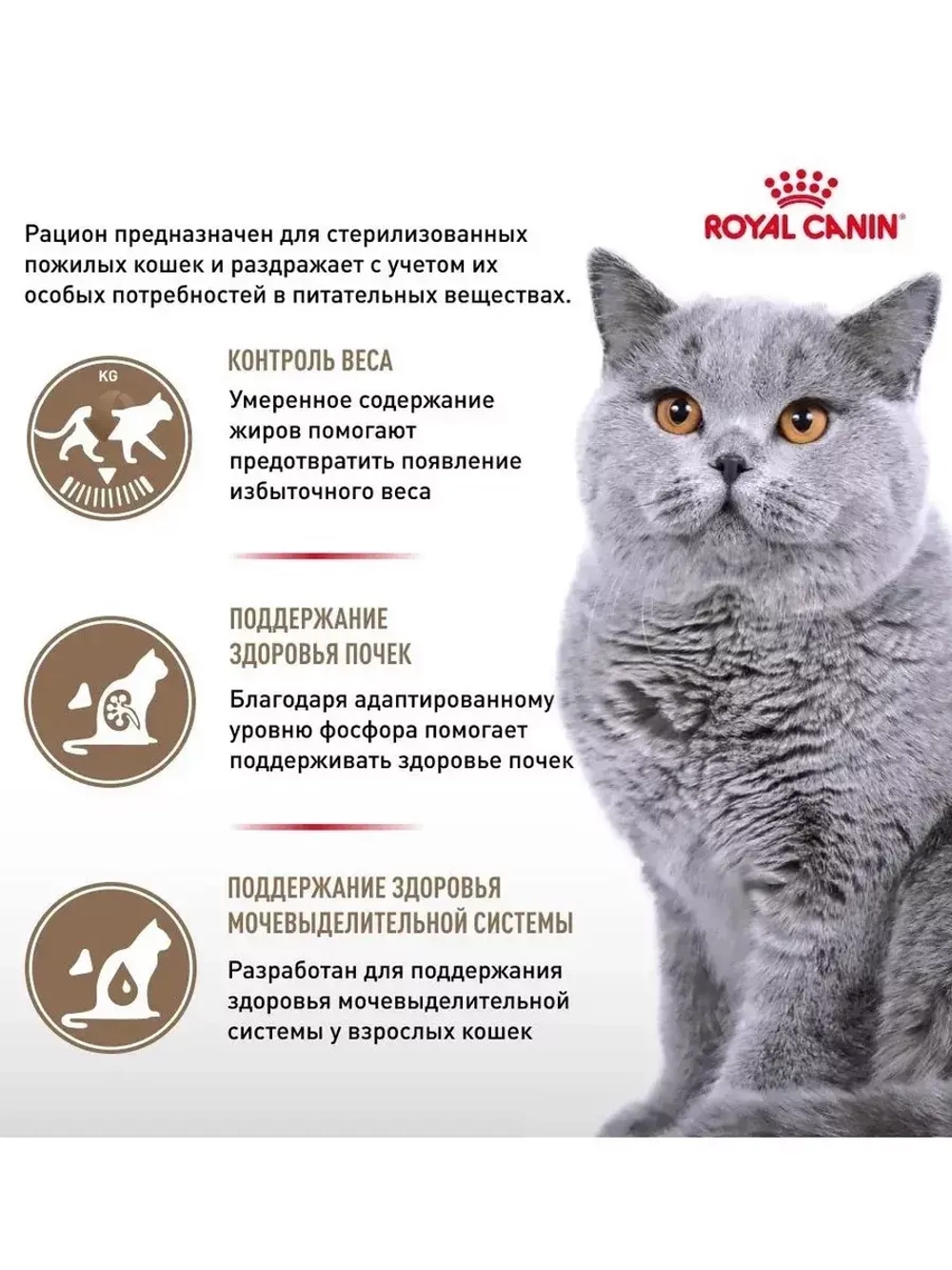 ROYAL CANIN Ageing Sterilised 12+ (Роял Канин Эйджинг Стерилайзд 12+) корм сухой для кошек Ageing 12+ Sterilised 2 кг.