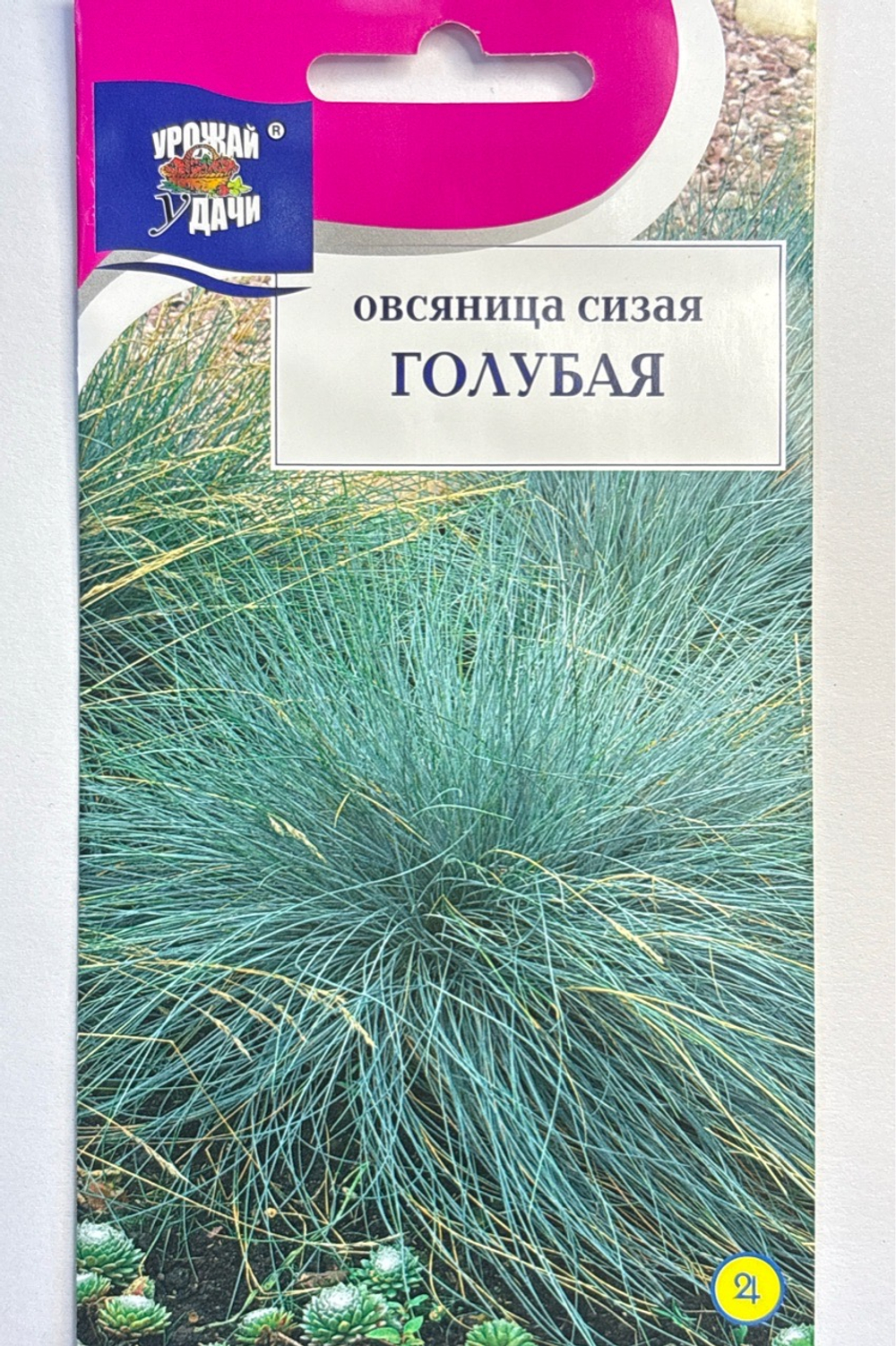 Овсяница Сизая Голубая 0,1 г СМЦ-38