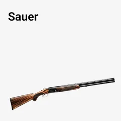 Sauer