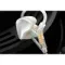 Celest Wyvern Pro White Green