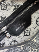 Louis Vuitton Speedy 25