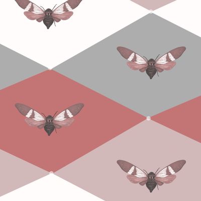 Цветные блоки с бабочками