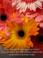 Букет из 21 герберы в,  дизайнерском оформлении, на стеблях, высота 45см