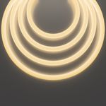 Гибкий неон Led Strip 20301