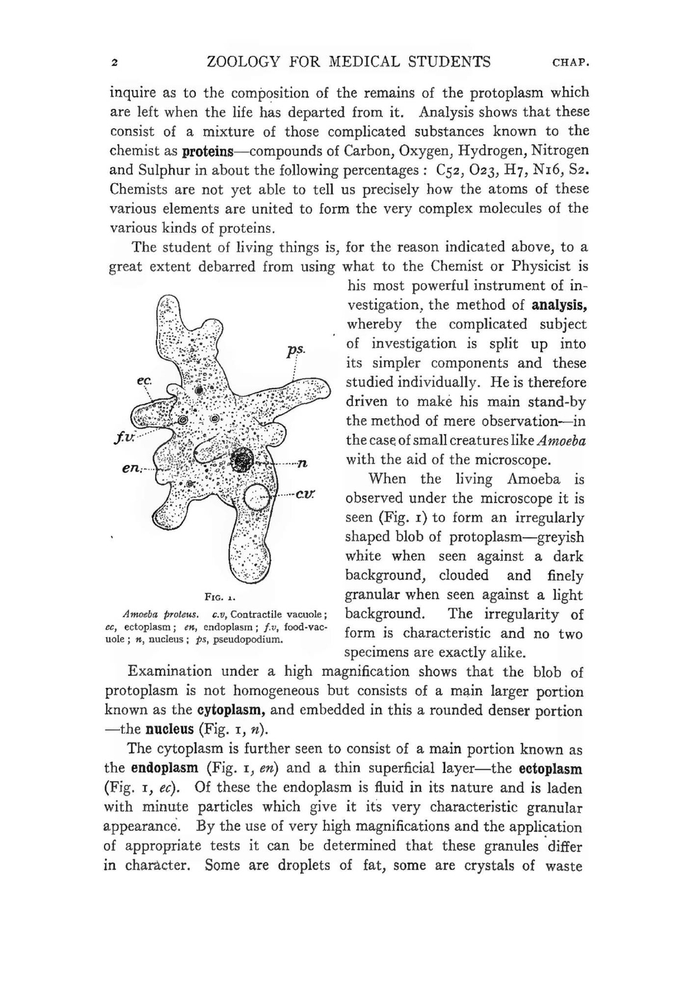 Zoology for medical students | Kerr J. Graham