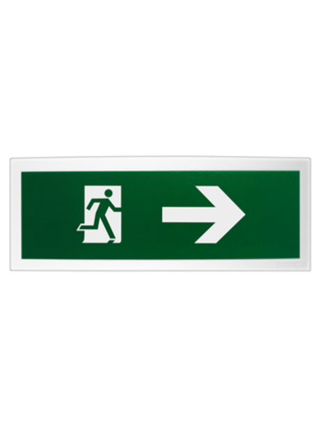 С2000 ОСТ исп.12 Человек вправо Оповещатель световой адресный(C)изображением  . Питание от С2000