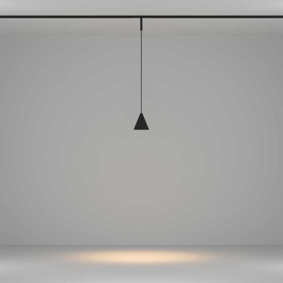 Трековый подвесной светильник Maytoni Technical TR182-1-5WTW-M-B