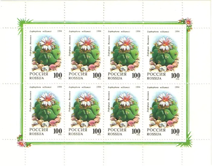 Лист марок 1994 «Комнатные растения: кактус Лофофора Вильямса»