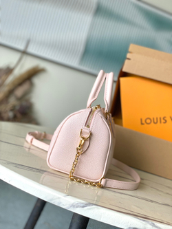 Louis Vuitton Speedy 20