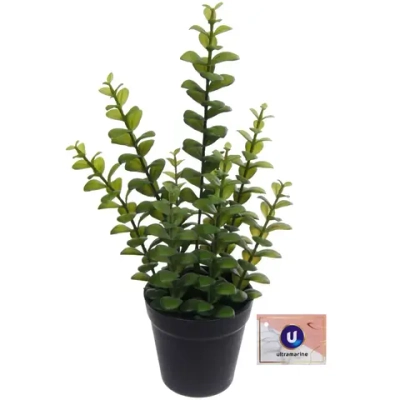 Цветок искусственный в горшке «Крассула» 35см