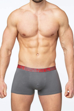 Мужские трусы-боксеры с пришивной резинкой (Размер: XXL) (Цвет: серый)