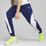 Мужские брюки PUMA BLUEPRINT Formstrip Pant