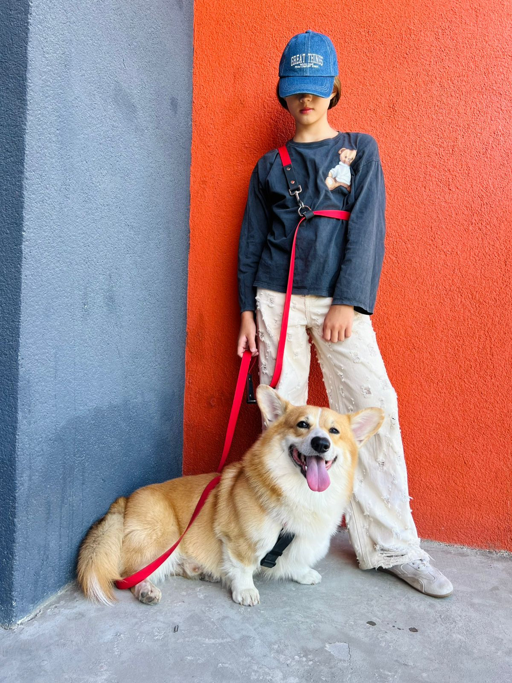 Шлейка для собак, Биотан, 25 мм , L размер ,средние и крупные породы, красный и черный