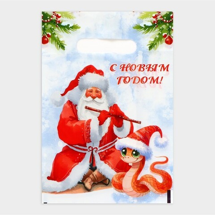 Распродажа Новый год. Пакет "Дед мороз и змейка", полиэтиленовый с вырубной ручкой, 20х30 см.