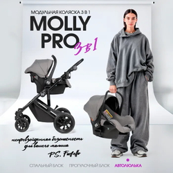 Детская коляска Farfello Molly Pro 3 в 1 серый