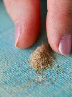 Флок бежевый (морозная трава)