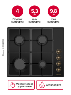 Газовая панель Hansa BHGA620390