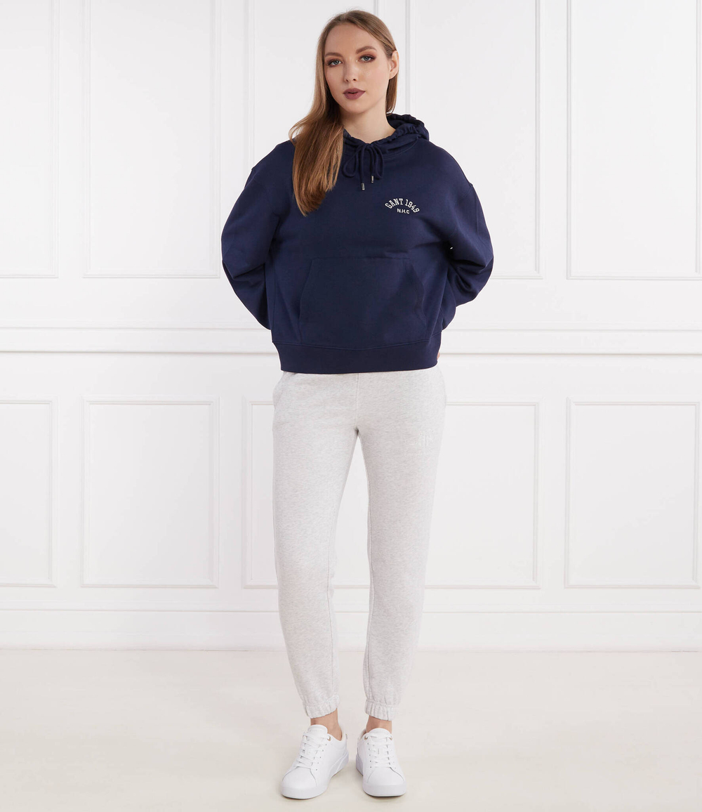 Спортивные штаны Gant - серый(4200709)