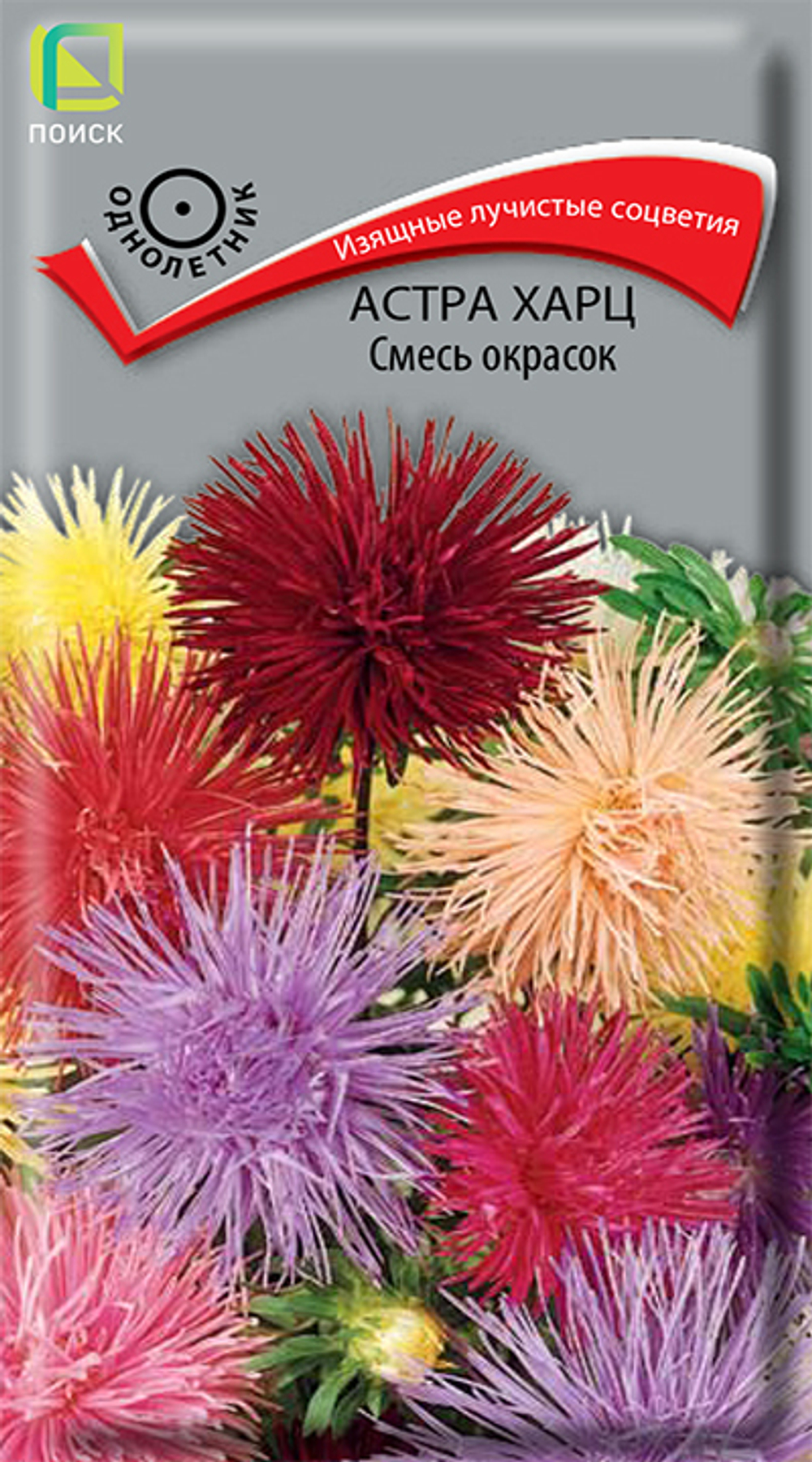 Астра харц Смесь окрасок