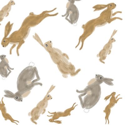 Кролик  и Заяц символ нового года