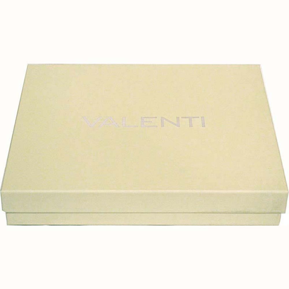 Спас Вседержитель. Икона Иисуса Христа в серебряном окладе.