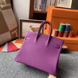 Hermes Birkin 25
