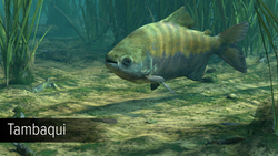 Ultimate Fishing Simulator - Amazon River (для ПК, цифровой код доступа)