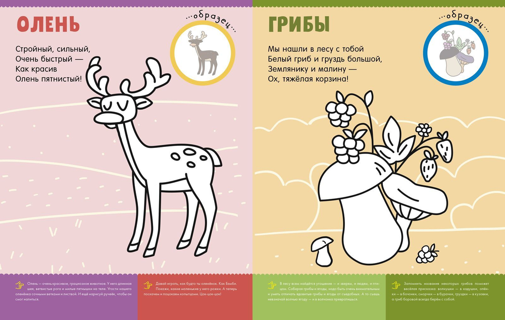 Первая раскраска с наклейками. Кто живёт в лесу?
