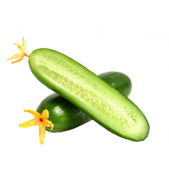 Министар F1 семена огурца партенокарпического (Гавриш)