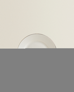 ZARA HOME ТАРЕЛКА ИЗ КОСТЯНОГО ФАРФОРА В ОПРАВЕ