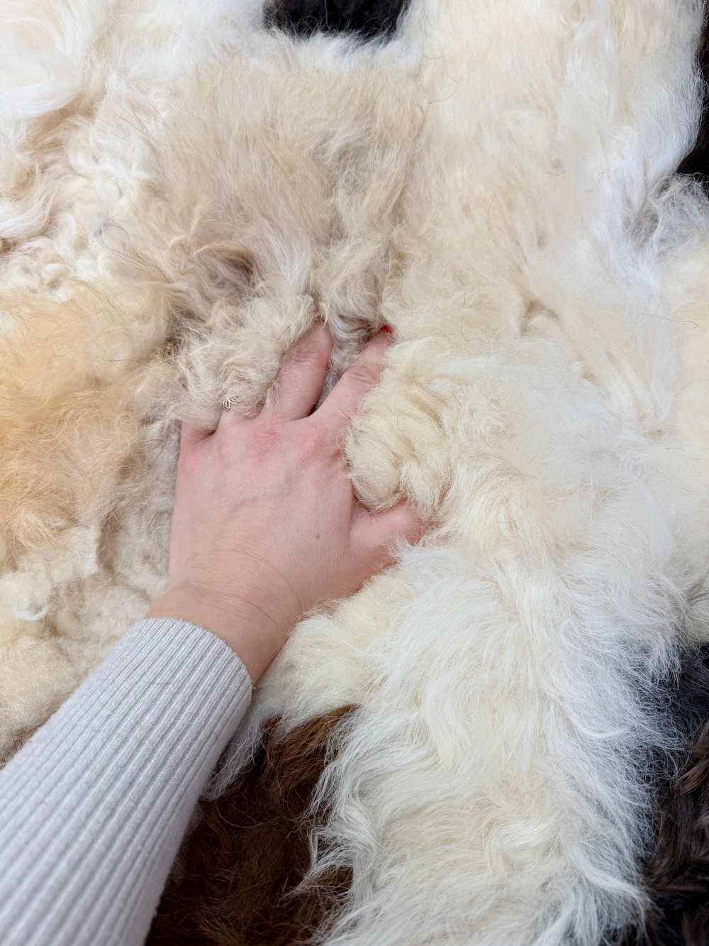 Покрывало меховое ковер из шкуры овчины