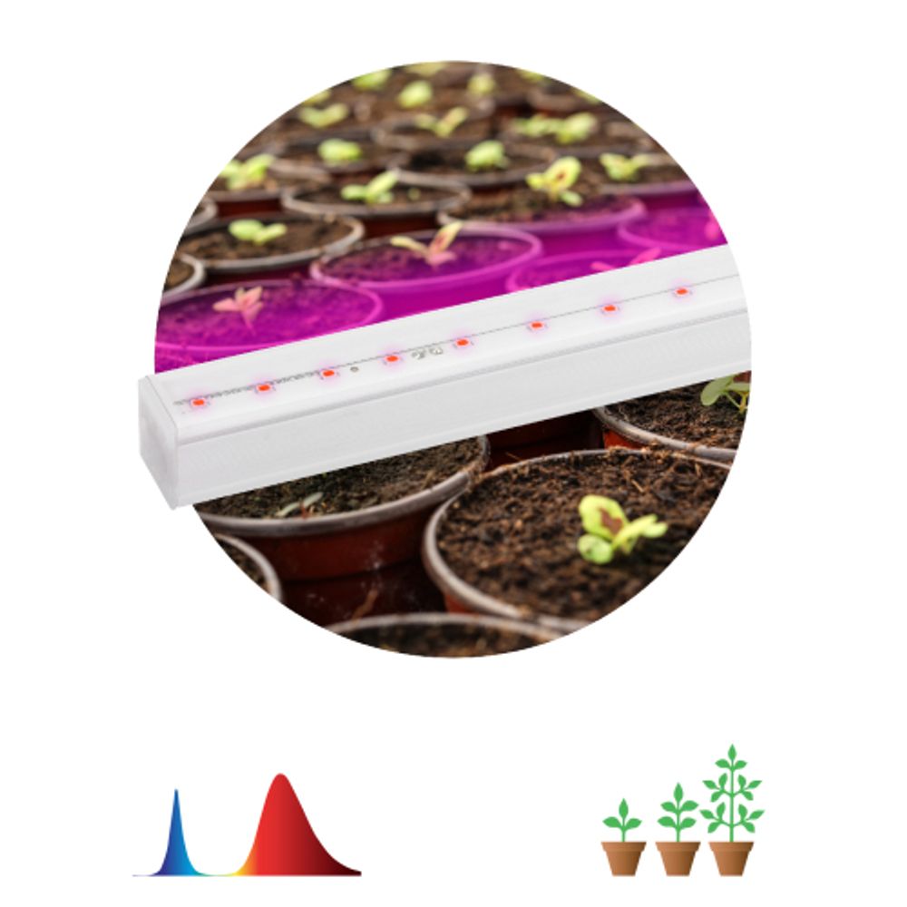 Светильник для растений, фитолампа светодиодная линейная ЭРА FITO-9W-Т5-N красно-синего спектра 9 Вт Т5 | Линейные фито светильники