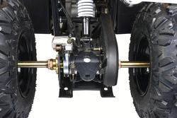 Квадроцикл MOTOLAND (МОТОЛЕНД) 200 ALL ROAD X (баланс. вал)