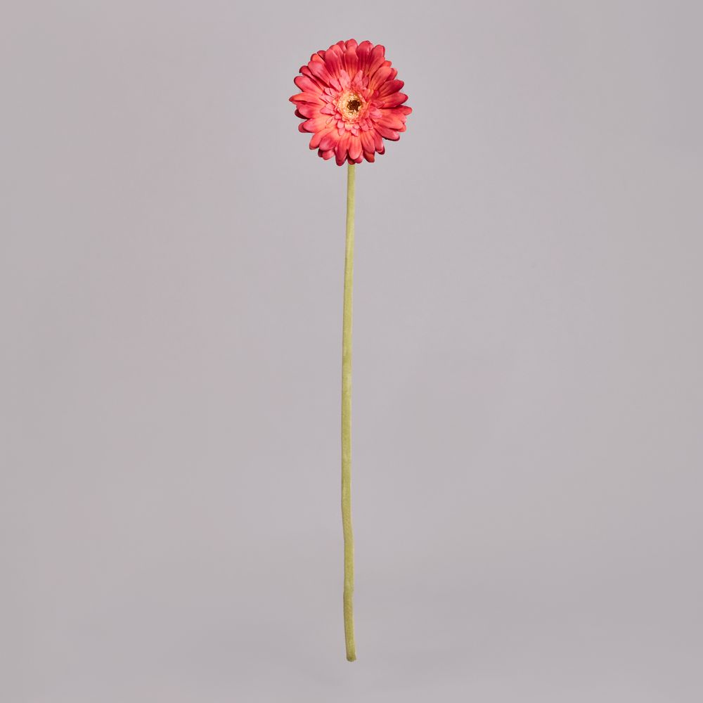 ЦВЕТОК ИСКУССТВЕННЫЙ "ГЕРБЕРА" ВЫСОТА=61СМ. (МАЛ=24 ШТ/КОР=96ШТ.)