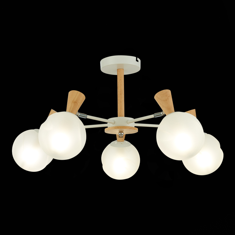 Светильник потолочный Evoluce Catania SLE220702-05