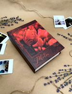 Фотоальбом на 100 фото 10х15 см с кармашками, "bloom" Тюльпаны
