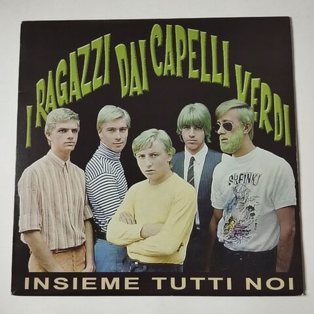 Винтажная виниловая пластинка LP I Ragazzi Dai Capelli Verdi Insieme Tutti Noi (Italy 2008)