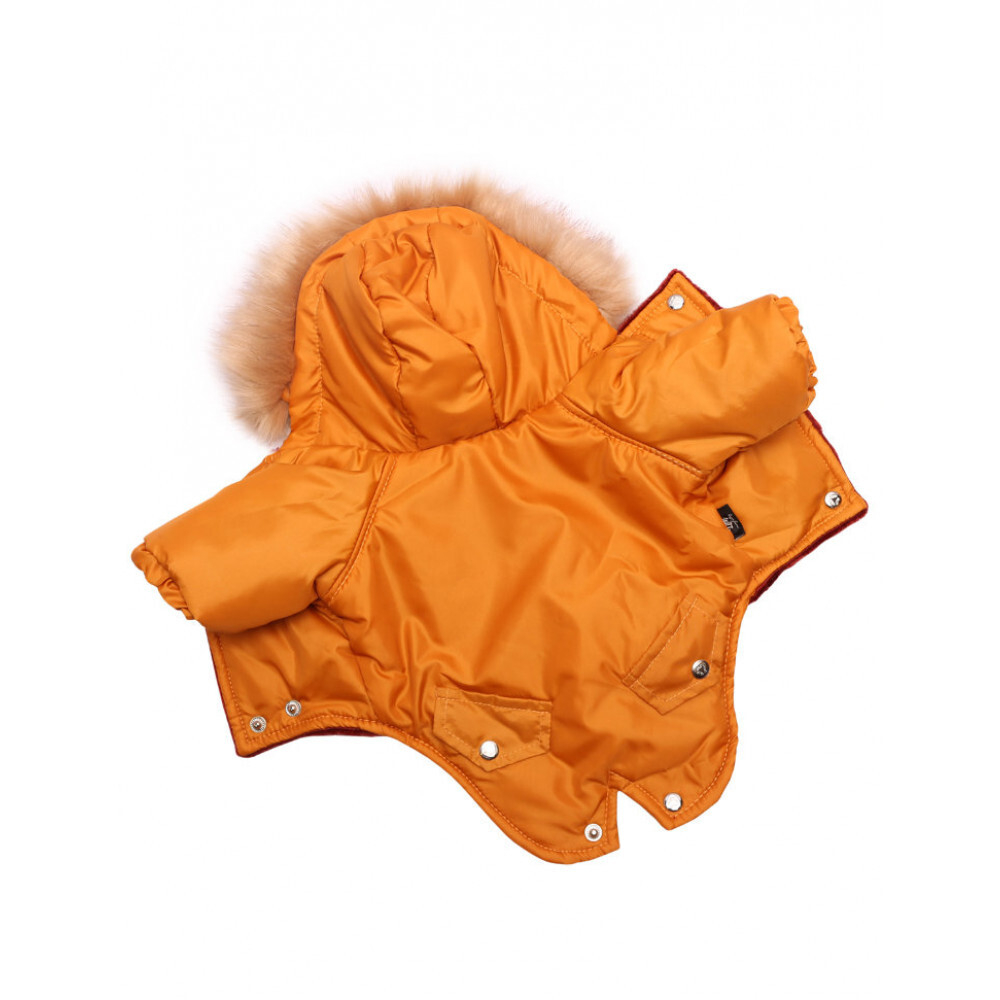 Lion Winter Зимняя куртка для собак парка LP068