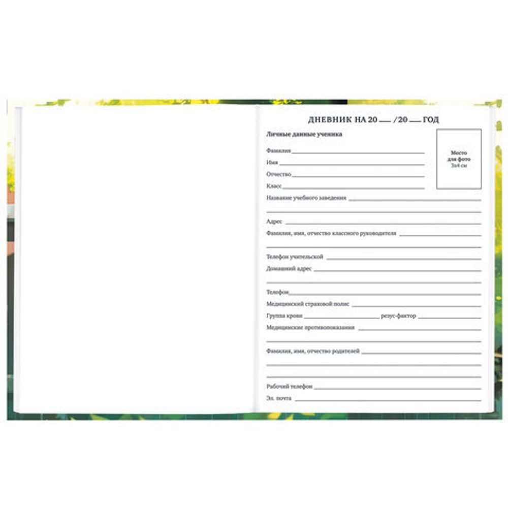 Дневник 1-11 класс 40 л., твердый, BRAUBERG, глянцевая ламинация, "Девочка и кот", 107166