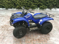 Квадроцикл GRIZZLY 125