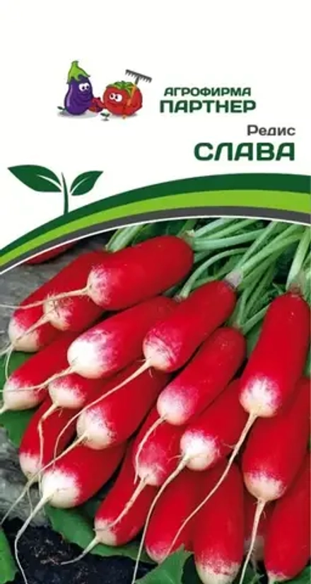 Редис Слава